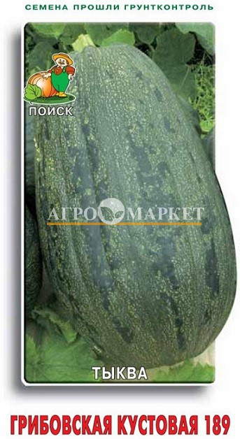 Тыква твердокорая ГРИБОВСКАЯ кустовая ЦВ Поиск 