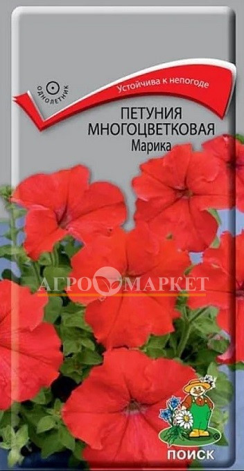 Однолетник Петуния Марика F1 многоцветковая Поиск 