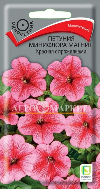 Однолетник Петуния минифлора магнит Красная с прожилками ЦВ Поиск 