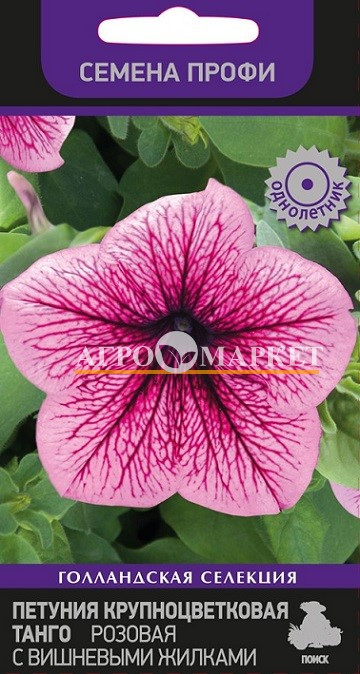 Однолетник Петуния крупноцвет. Танго Розовая с вишневами жилками Профи Поиск 