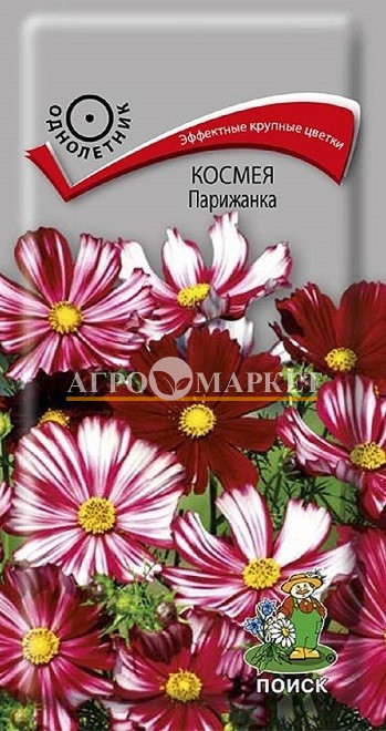 Однолетник Космея Парижанка ЦВ Поиск 