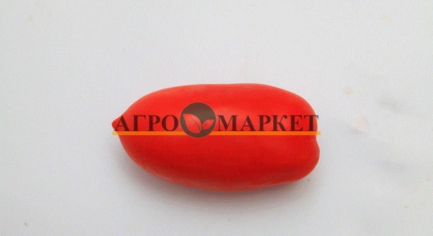 Томат ДОЧЕТ F1 / DOCHET F1 Seminis  фото 9