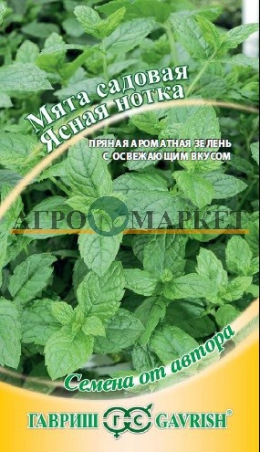 Мята ЯСНАЯ НОТКА Гавриш 