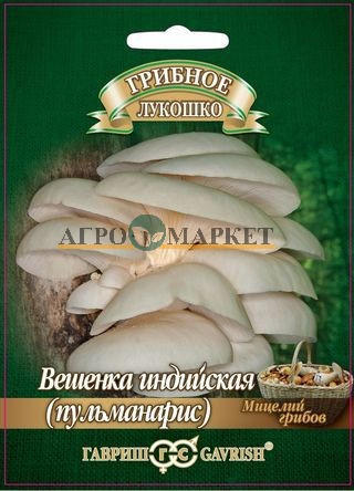 Грибы ВЕШЕНКА ИНДИЙСКАЯ ПУЛЬМОНАРИС на древесн.палочке  больш.пак. Гавриш 