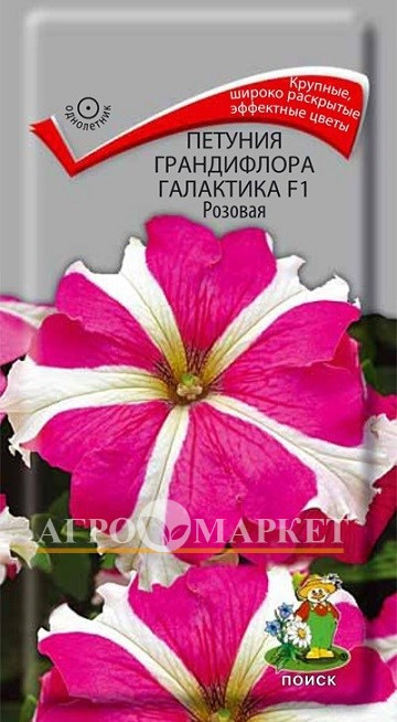 Однолетник Петуния грандифлора Галактика F1 Розовая ЦВ Поиск 