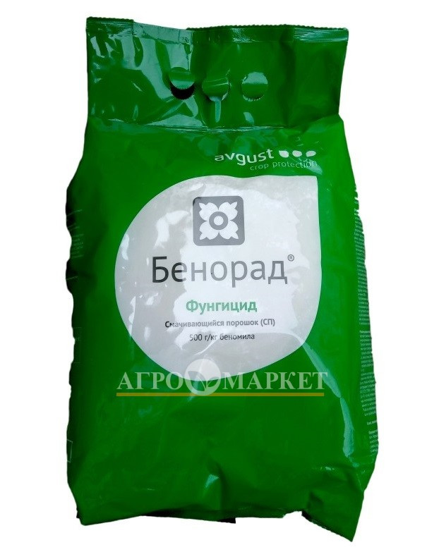 Фунгицид БЕНОРАД / BENORAD Avgust 