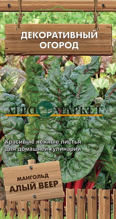 Мангольд АЛЫЙ ВЕЕР ЦВ Поиск 