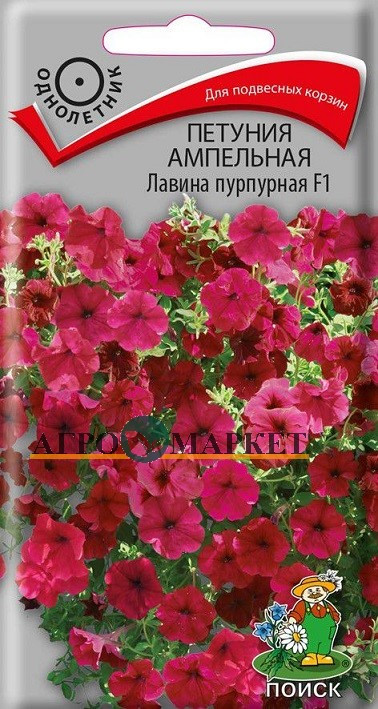 Однолетник Петуния ампельная Лавина пурпурная F1 ЦВ Поиск 