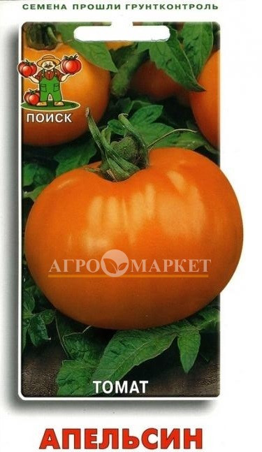 Томат АПЕЛЬСИН ЦВ Поиск 