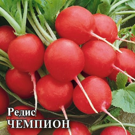Редис ЧЕМПИОН / CHAMPION Гавриш 