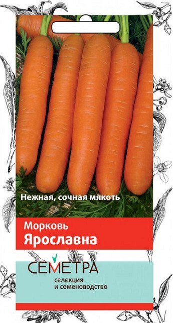 Морковь ЯРОСЛАВНА Поиск 