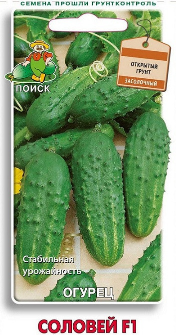 Огурец СОЛОВЕЙ F1 Поиск 