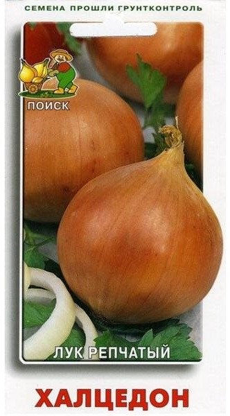 Лук Яровой ХАЛЦЕДОН Поиск 