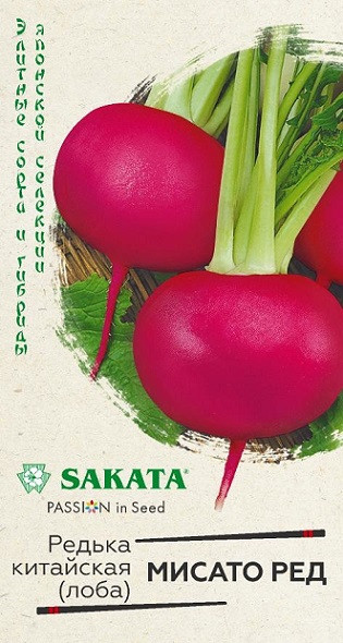 Дайкон МИСАТО РЕД Саката Гавриш 