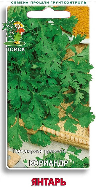 Кориандр ЯНТАРЬ Поиск 