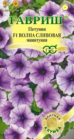 Однолетник Петуния Волна сливовая суперкаскадная Гавриш 