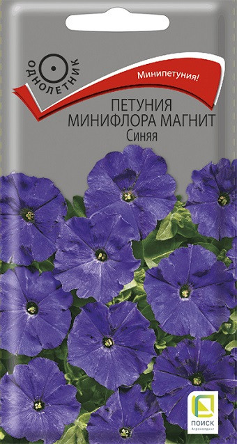 Однолетник Петуния минифлора магнит Синяя ЦВ Поиск 