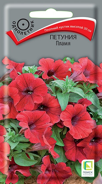 Однолетник Петуния Пламя ЦВ Поиск 