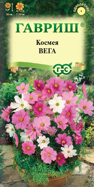Однолетник Космея Вега, бело-розовая смесь Гавриш 