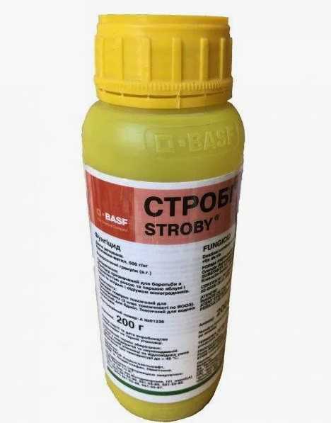 Фунгицид СТРОБИ / STROBI Basf 