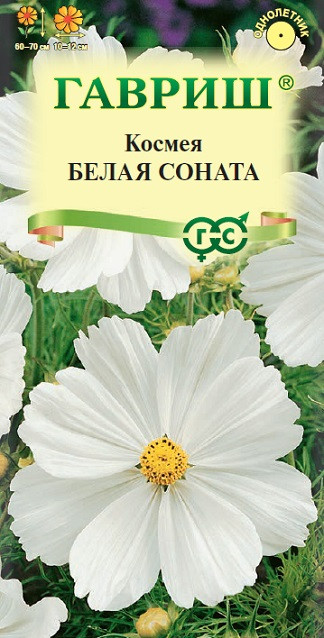Однолетник Космея Белая соната Гавриш 