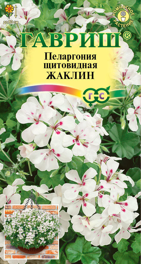 Комнатные Пеларгония Жаклин ампельная Гавриш 
