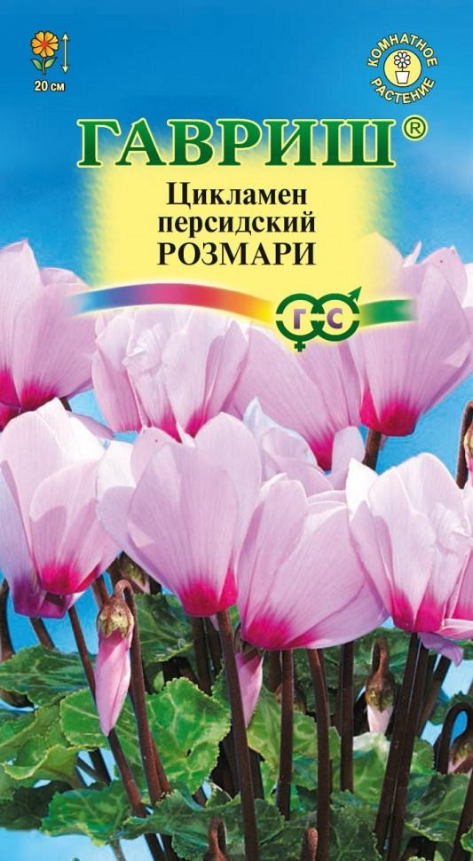 Комнатные Цикламен Розмари персидский Гавриш 