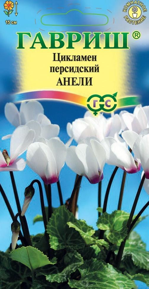 Комнатные Цикламен Анели персидский Гавриш 