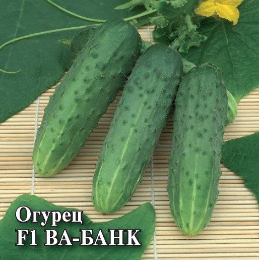 Огурец ВА-БАНК F1  Гавриш 