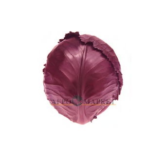 Капуста краснокочанная ВАРНА F1 / VARNA F1 Sakata 