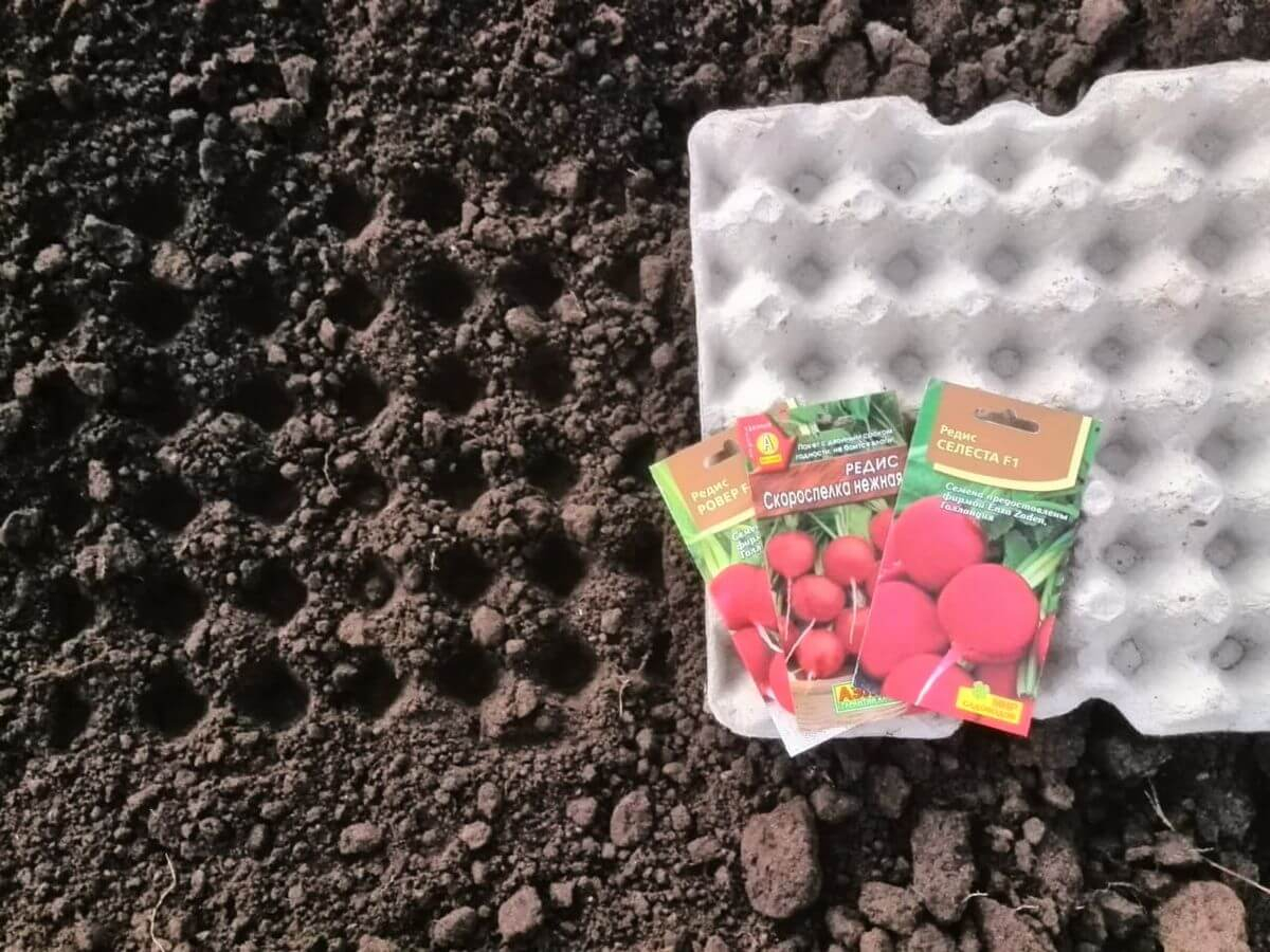 подготовка почвы для редиса