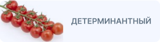 Томат детерминантный