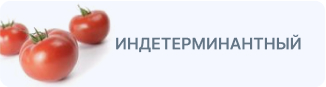 Томат индетерминантный