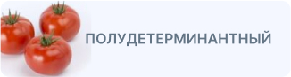 Томат полудетерминантный